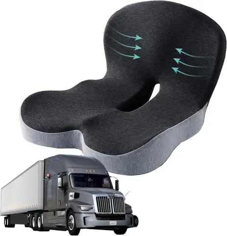 Cushion Seat for Back Support